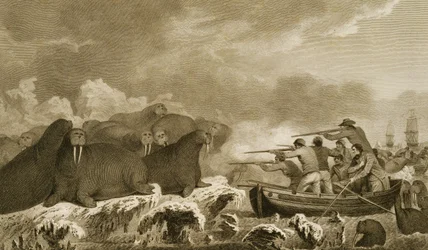 Sea Horses, figurer av J. Heath, gravert av E. Scott plate 52 fra 