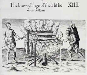 Cooking Fish, tallerken fra "A Brief and True Report of the New Found Land of Virginia" av Thomas Harriot (1560-1621) pub. 1590