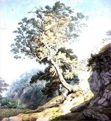 Utsikt nær Canonteign, Devon