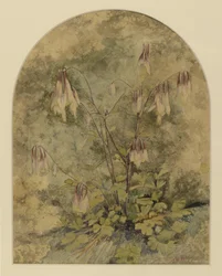 Villblomster (wc på papir)