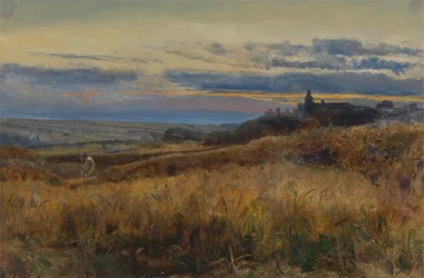 Kornåker ved solnedgang