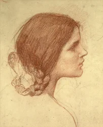 Head of a Girl, ca. 1905 (rødt kritt på papir)