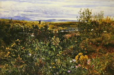 Omfattende landskap med ville blomster, ca. 1855-1860 (olje om bord)