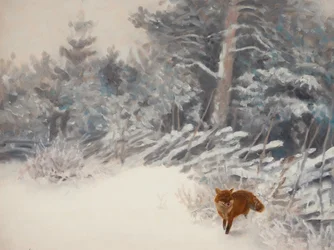 Vinterskogsreven