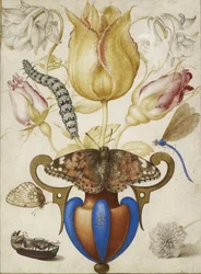 Arrangement av blomster i en vase, med insekter, 1594 (Akvarell med gull på vellum)
