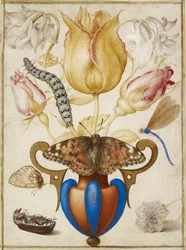 Arrangement av blomster i en vase, med insekter, 1594