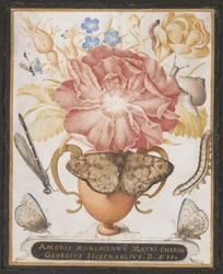 Stilleben med blomster, en snegl og insekter, 1589.