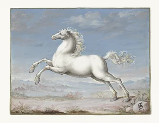 hvit hest