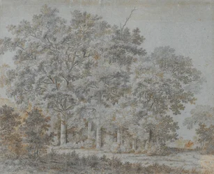 Skog og rytter