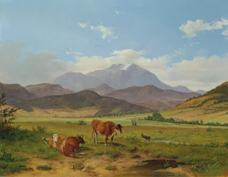 landskap med snøfjell