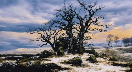 JJM gjenskaper Friedrich-CD: Megalith Grab im Winter (Panorama)