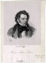 Franz Schubert Litografi