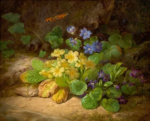Lite stykke blomster (alpine blomster)