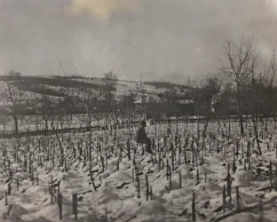 Album "Min verdenskrig - minner fra den sørvestlige fronten i Kärnten, Italia, Trentino-Alto Adige) 31/03/1915-12/11/ 1918 - Josef Zohles Wien ": militærkirkegård (s/hv-bilde)