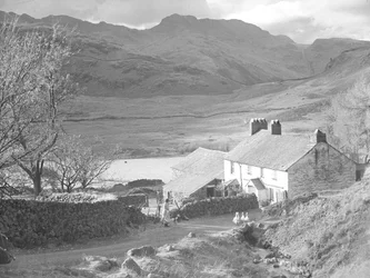 Gård (i Langdales) med kvinne og hunder som passer på ender og gårdsbygninger bak