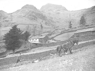 To hester pløyer med enslig gårdsarbeider