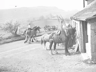 Arbeidshester utenfor Crostwaite Smithy