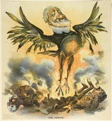 Føniksen, fra Puck