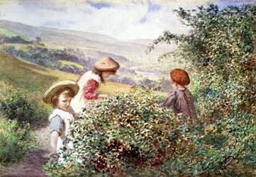 Blackberry Pickers