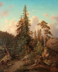 Skoglandskap med kvinne som samler ved