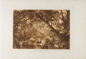 Aesacus og Hesperia, plate 66 fra Studieboken