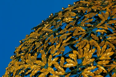 Kuppel på Wiener Secession i secesjonsstil, fotografi
