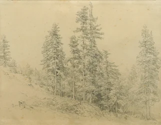 Kostbar tann