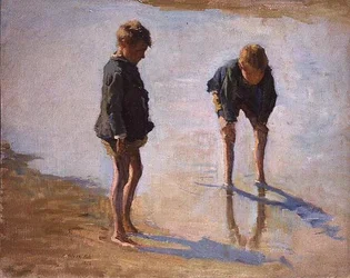 I Shallows