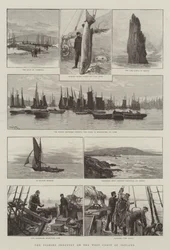 Fiskeindustrien på vestkysten av Irland