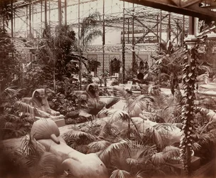 Crystal Palace i London: den tropiske avdelingen, ca. 1870