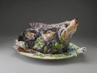 Boar
