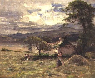 Hayfield nær Llandudno