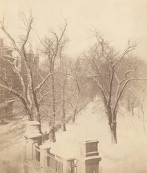 Boston Common Snow Scene