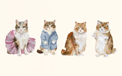 Søte, velkledde katter