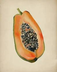 Halv papaya i livlige farger