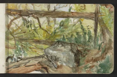 Skog i Pontresina