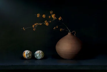 Mørkt stilleben med frukt