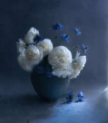 Mørkeblå blomsterstilleben