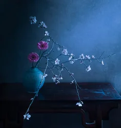 Mørk, blomsterpreget eleganse