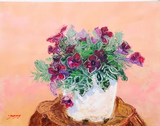 Fargerike potteblomster