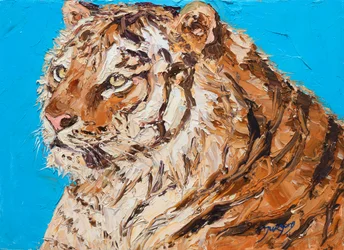 Livlig tigerblikk