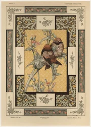 Fugler, plate 35 fra 