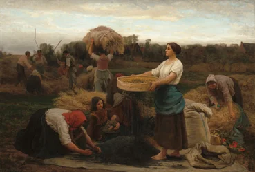 The Colza Harvesting Rapeseed, 1860.