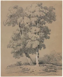 Trestudie, 1800-tallet.