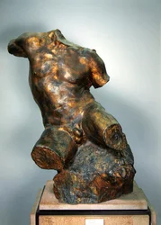 Mannlig torso