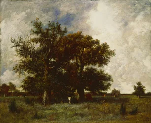 Fontainebleau Oaks