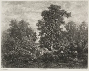 Dammen, etter Théodore Rousseau (1812-67)
