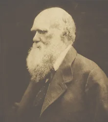 Charles Darwin, 1868, trykt ca. 1893.