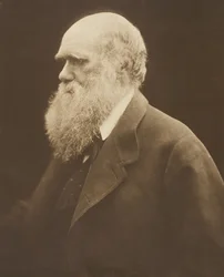 Charles Darwin, ca. 1868, trykt 1875.