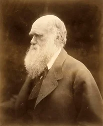 Portrett av Charles Darwin, 1868